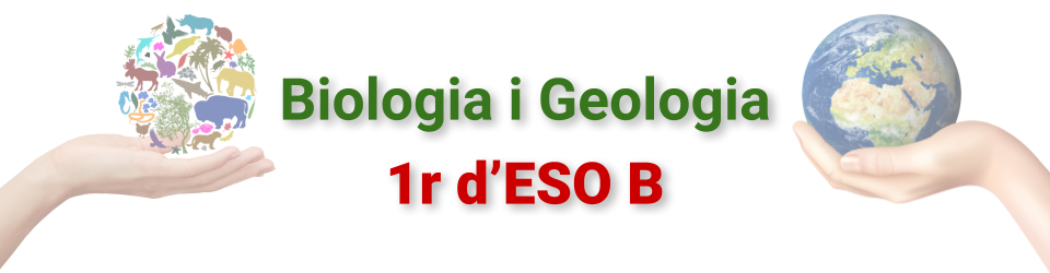 Biologia i Geologia 1rESO B