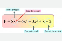 Polinomis i fraccions algebraiques
