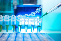 Laboratori