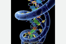 UP2- Genètica molecular