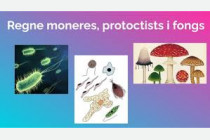 UP 2- Regne Monera, Protoctista i Fongs.