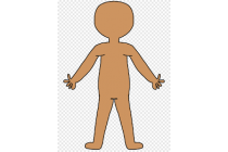 UNIT 2 - HUMAN BODY
